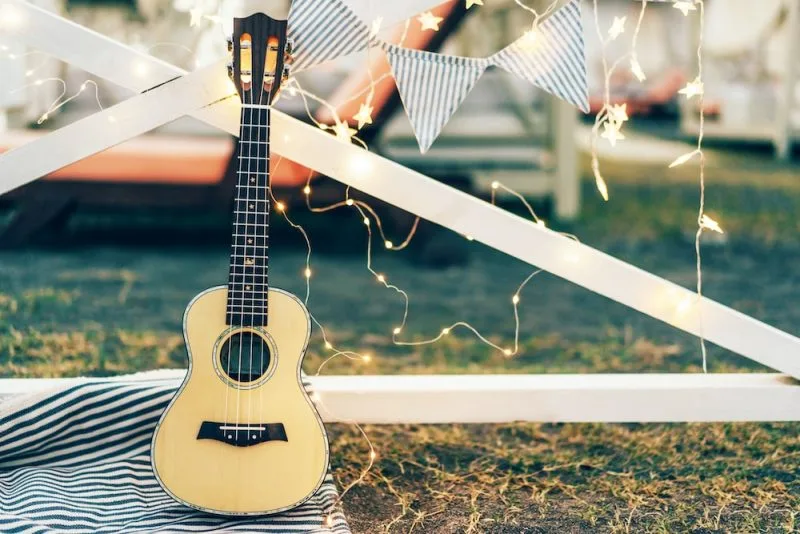 Ukulele and lights