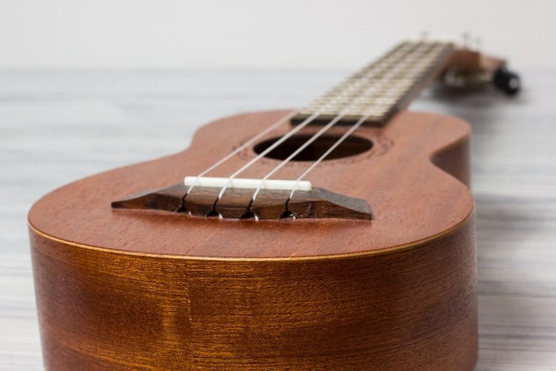 Best Ukulele Brands for Every Player [Updated 2024]