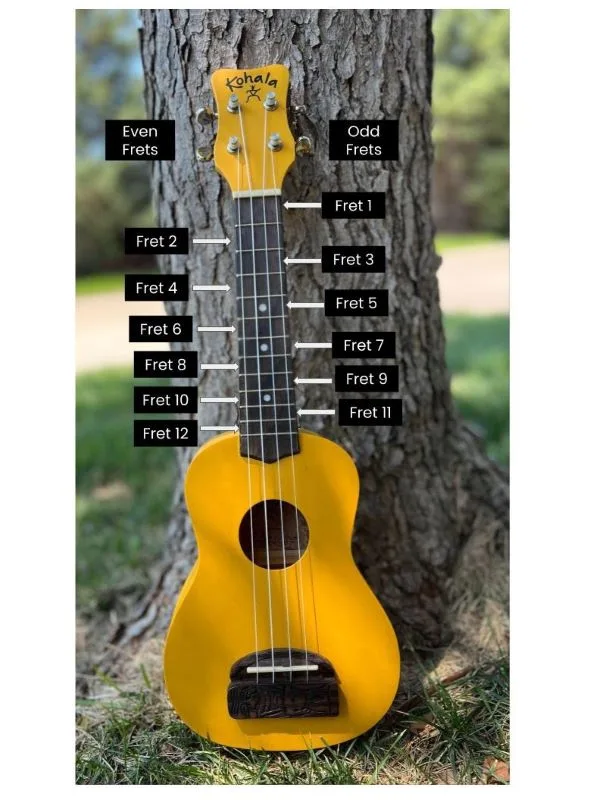 Soprano Ukulele Fretboard