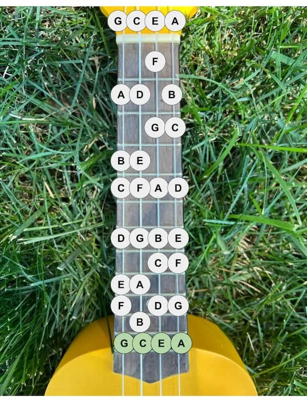 Names of Ukulele Fretboard Notes