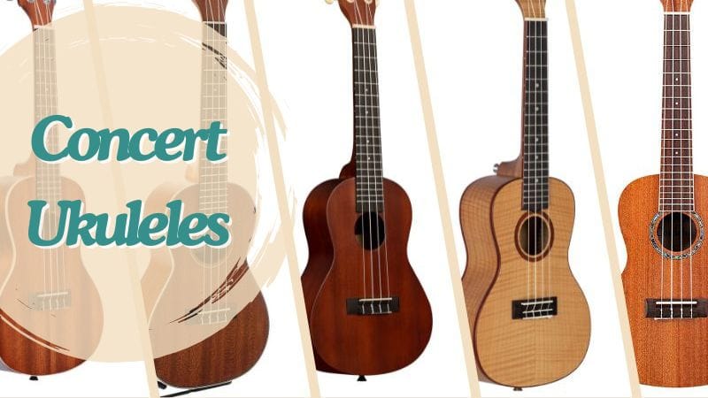 Best concert ukulele