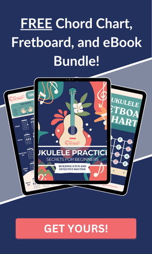 Beginner Bundle - Sidebar